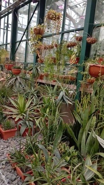 2 этаж Аптекарского огорода смотреть онлайн