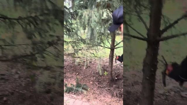 Шок контент, до конца❗️Вот почему нужно снимать мета? смотреть онлайн