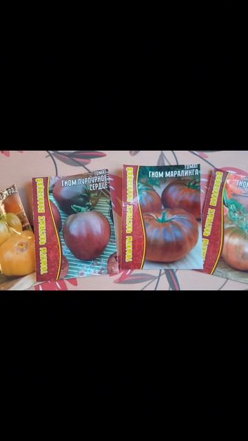 ЛУЧШИЕ СОРТА ТОМАТОВ НА 2025 ГОД👍 #огород #открытыйгрун смотреть онлайн