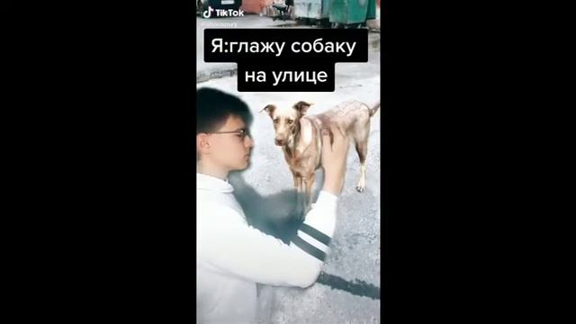 Ес минус 3| большая подборка приколов|тик ток смотреть онлайн