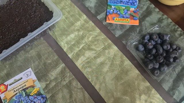 Весенний рай