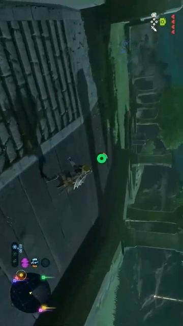 The Legend Of Zelda BOTW: Особые верховые животные 1 часть