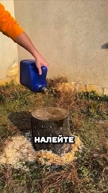 Как удалить пень от дерева #ремонт #дача #сделайсам #ла? смотреть онлайн
