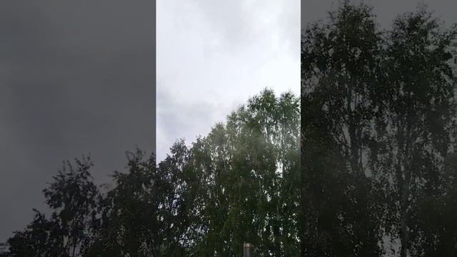 #мангал #мясо #дача