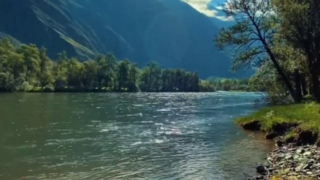 Красивая Азербайджанская песня смотреть онлайн