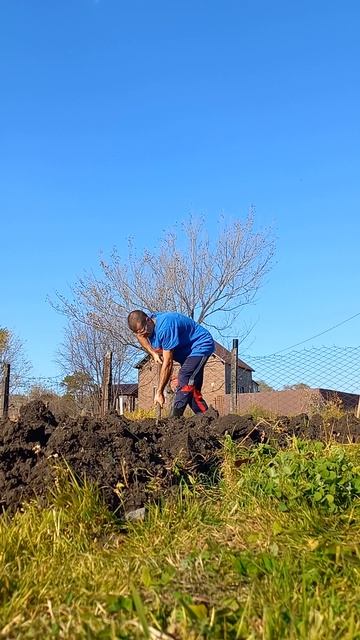 Силовая на Земле 💎 Святой Труд ✅️ #труд #огород #огор? смотреть онлайн