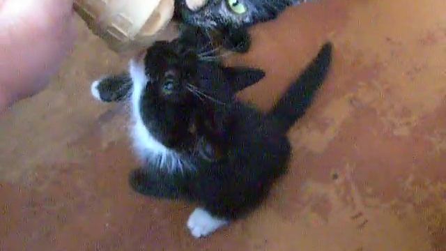 Шитя и Кася кушают мороженое:)