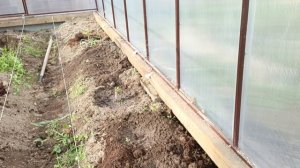 Кишмиш Юпитер.персик Московский карлик.Земляника Ненси,земляника Гигантелла.Распечатка посылки 📦