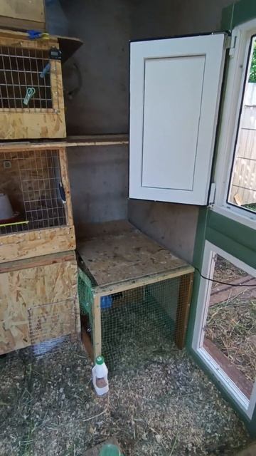 Завершили строительство КУРЯТНИКА))🪚🔨🏠#курятник#к? смотреть онлайн
