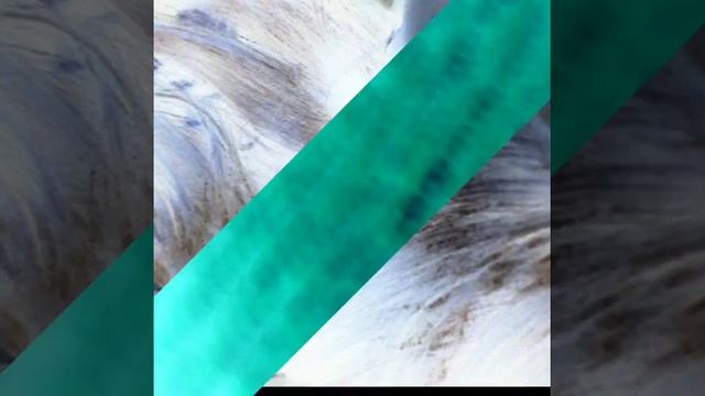 Прикольные картинки 5 часть смотреть онлайн