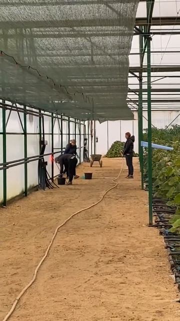 Наводим порядок #производство #кубанамаркет #порядок # смотреть онлайн