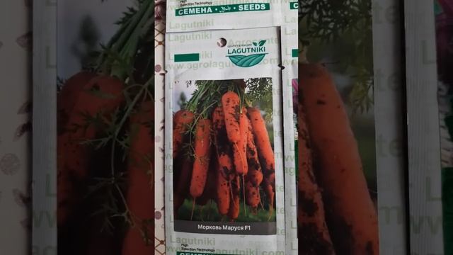 Мои семена на сезон 2024г. #народноетестирование #семена смотреть онлайн