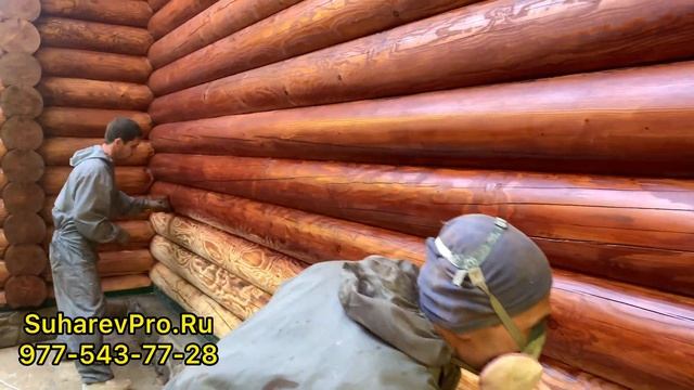 Шлифовка и покраска сруба. Тёплые шов герметик ramsauer ма смотреть онлайн