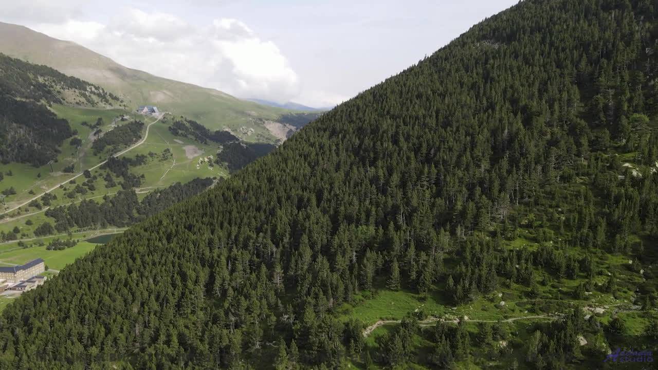 Песня, которая начинается с запуска двигателя и не заканчивается никогда - Cornershop -- Podington B