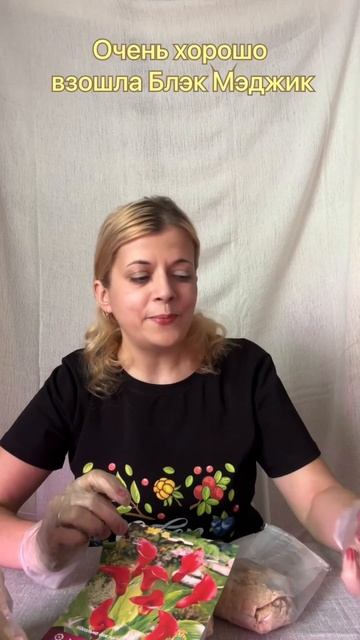 #цветы #цветыдлядома #цветыдлясада #flowers #inspiration #amazing #gar смотреть онлайн