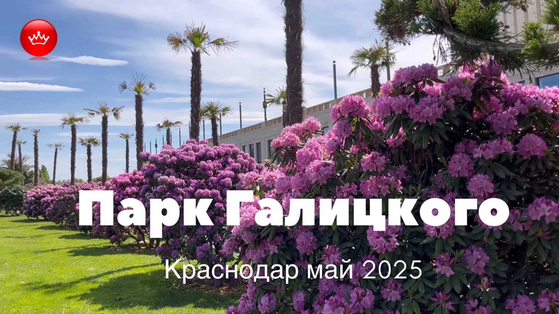 🤩🤩🤩2025 май Парк Галицкого все увидите сами. смотреть онлайн