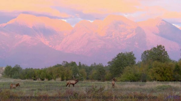 Шум волн + эта музыка = мгновенный релакс! - Equity -- Independent Music Licensing Collective (IMLC)