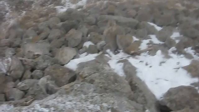 2014 01 02  15 17 14     Выход на Роман Кош