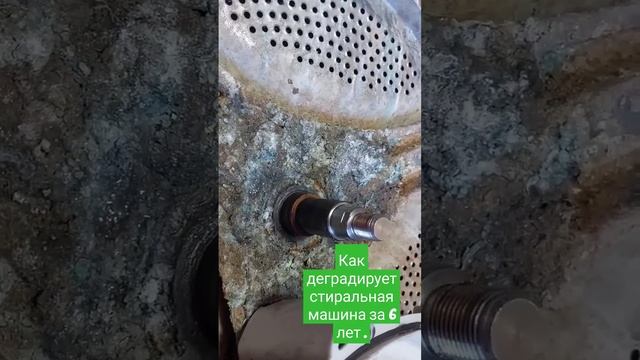 Заглянем внутрь бака стиральной машины LG смотреть онлайн