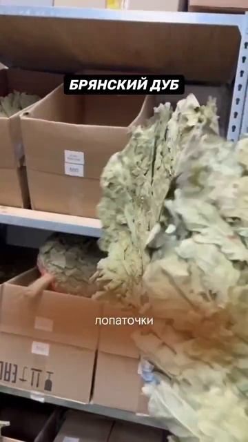 Веники для бани смотреть онлайн