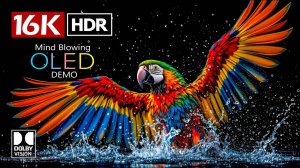 Невиданное 16K HDR видео ULTRA HD Dolby Vision - 8K видео ULTRA HD