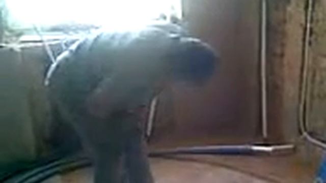 САНТЕХНИКА ПРИКОЛ РЖАЧ смотреть онлайн