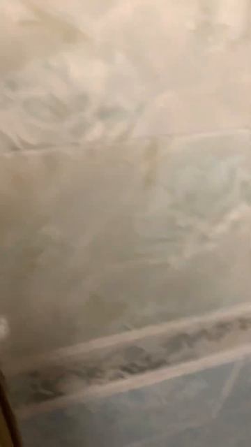 Неплохая баня с электрической печью