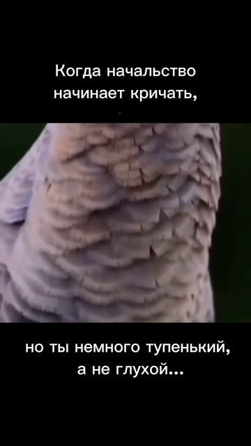 Знакомо? Желаем всем ясного ума!