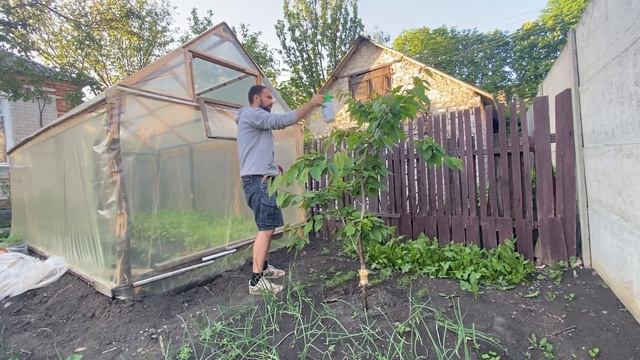 Как изменился Дом. Вкуснейшая Пасха к Светлому Праздн? смотреть онлайн