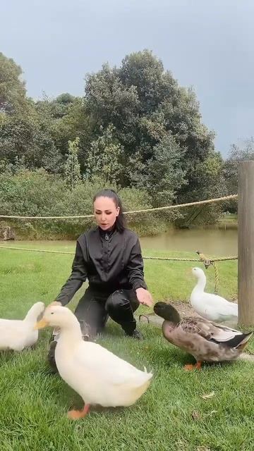 #птицы #уточки #кормлюптиц #дикиезвери #птичник #животн