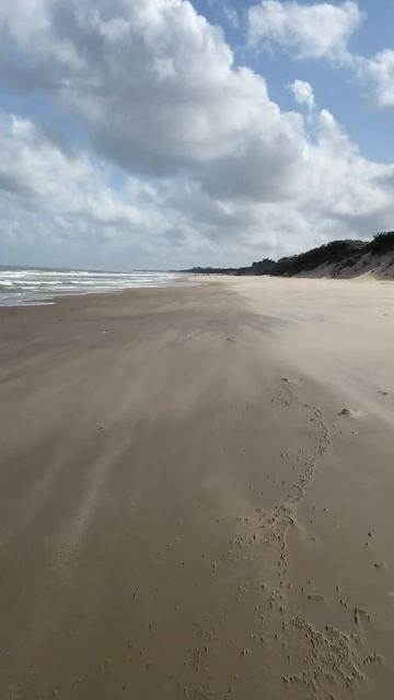 СТИХИЯ! Море волнуется... #пляжныйкоп #deus #коп #металлои? смотреть онлайн