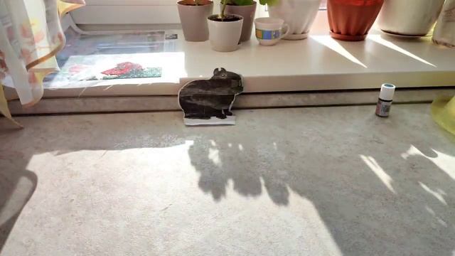 КРАСКА ДЛЯ АМ НЯМА ИЛИ 3 СПОСОБА ПОКАРАСИТЬ АМ НЯМА смотреть онлайн