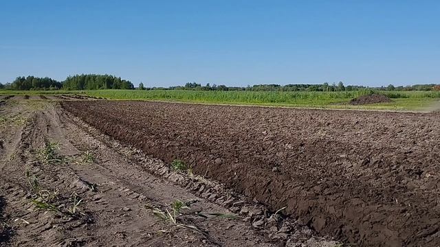 Вспашка огорода, мотоблоком мтз 🚜 смотреть онлайн