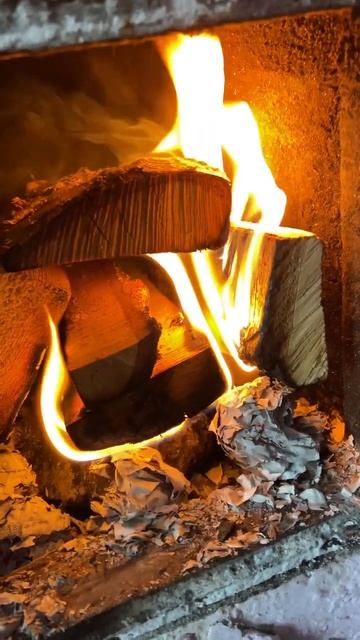 Видео для фона. Как горит дерево. #огонь #костёр #пламя # смотреть онлайн