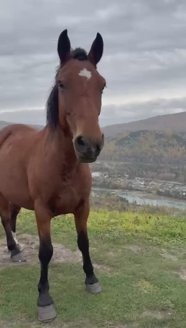 Видео от наших клиентов 15. смотреть онлайн