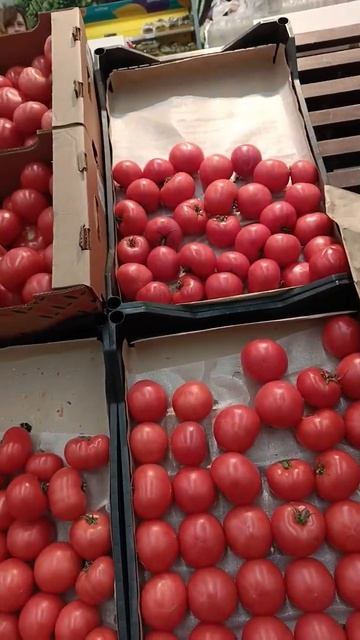 Можете попробовать брать семена с помидоров южных стр смотреть онлайн