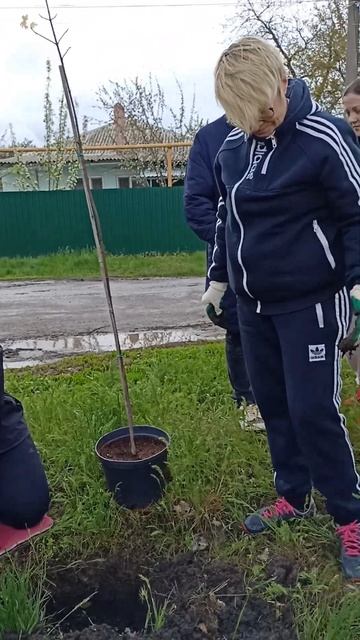 Бывшие одноклассники в поселке Каменоломни встретили смотреть онлайн