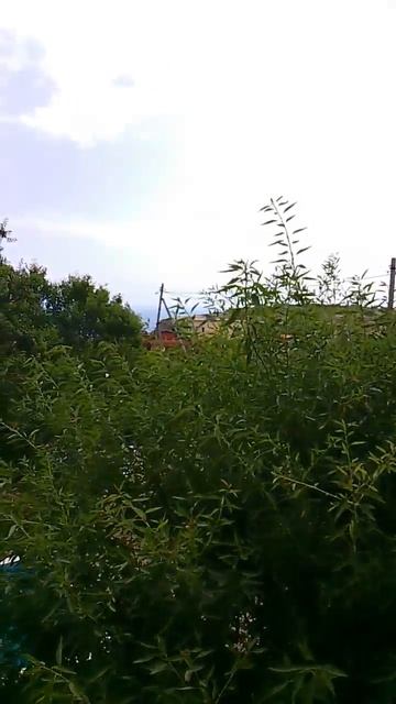 17 июля 2023 г.www.hotelfiolent.ru смотреть онлайн