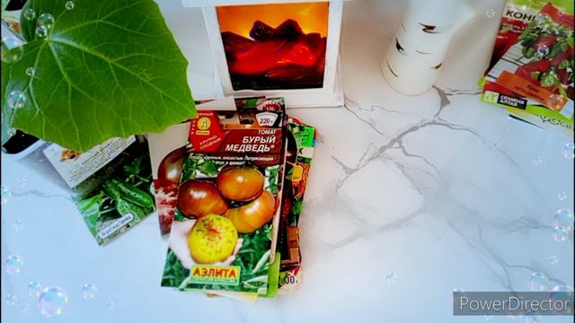 Обзор томатов для открытого грунта и теплицы 2025г.Огур? смотреть онлайн