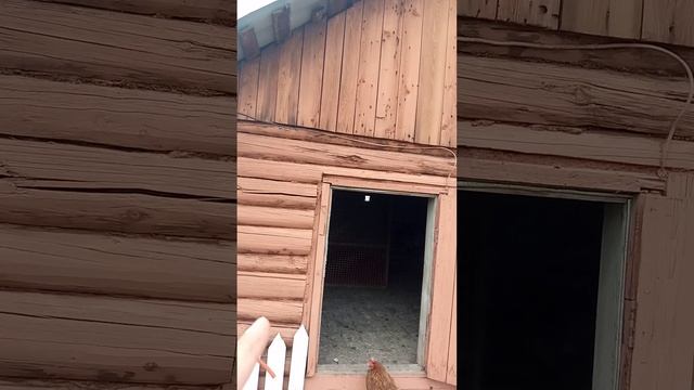 бесплатная краска для забора,сарая и т.п часть 2 смотреть онлайн