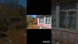 побелка дачного домика сухой гипсовой штукатуркой.