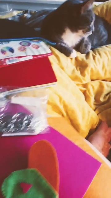 Классный брелок из фетра, шьем с Джони!#фетр#позитив#су