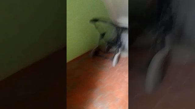 СТРАШНЫЕ ПОДВАЛЫ ДЛИННОГО ДОМА! смотреть онлайн