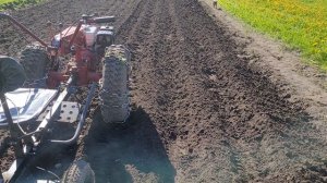 посадка картохи мотоблоком мтз 09н и адаптером пно 2