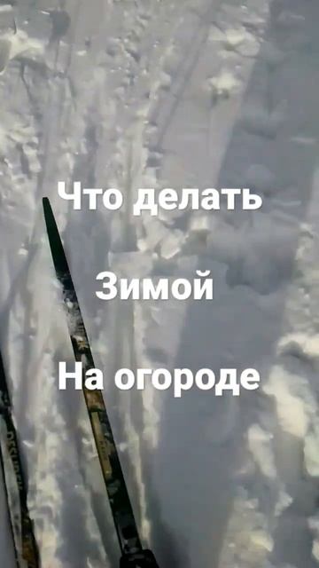 Когда огород немаленький,использую его зимой по назна смотреть онлайн