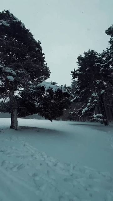 ОДНАКО ИСПАНИЯ В СНЕГУ #жизньвиспании #испаниясегодня смотреть онлайн