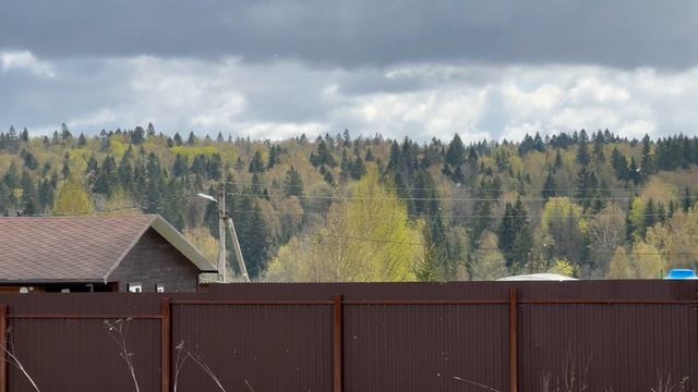 Dacha Lynx Solnechnogorsk