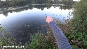 Как ловить форель на пасту. Бешенный клев форели. Ловл?