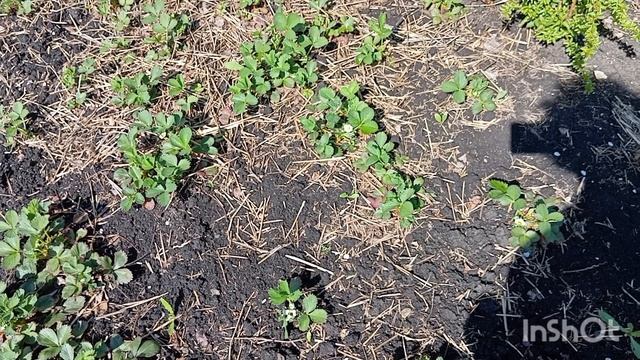 Надо жить дальше... смотреть онлайн