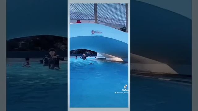 Горячие термальные источники в Корее смотреть онлайн